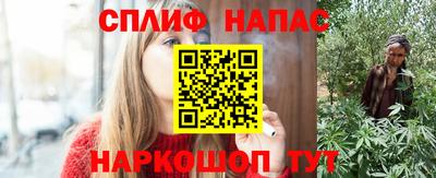 сатива Кунгур
