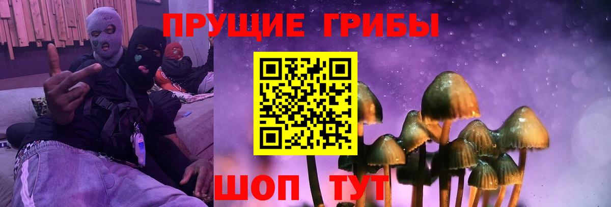 сколько стоит  Псилоцибиновые грибы Cubensis  Вход с VPN  Долгопрудный 